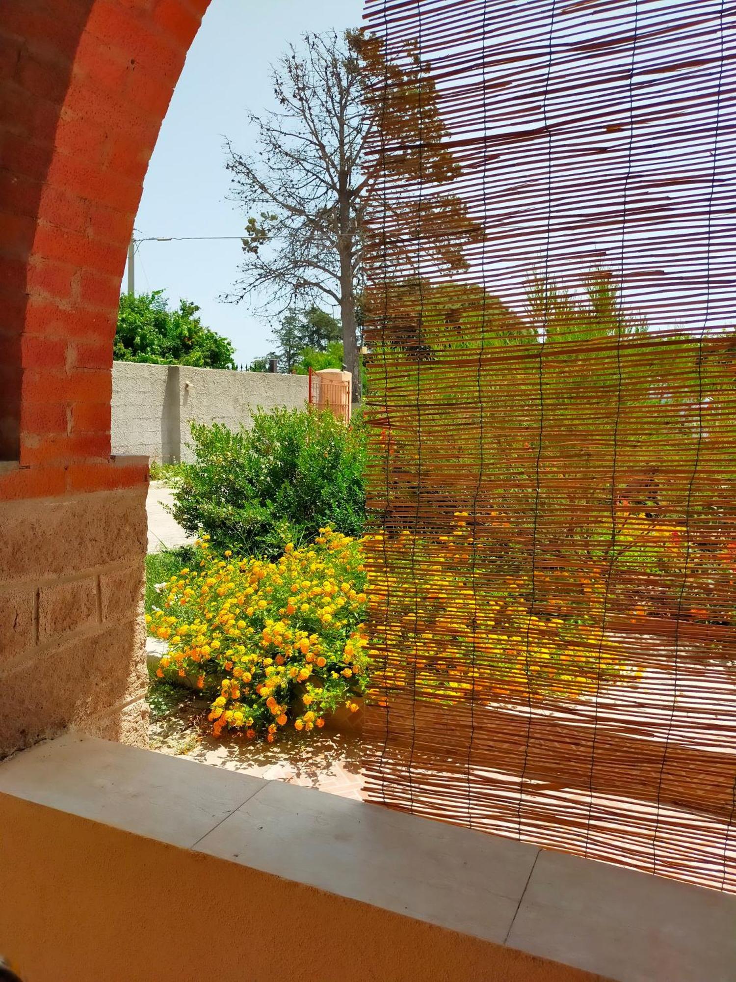 Casa Marina Lu Tuvaraggiu Casa Vacanze 索尔索 外观 照片