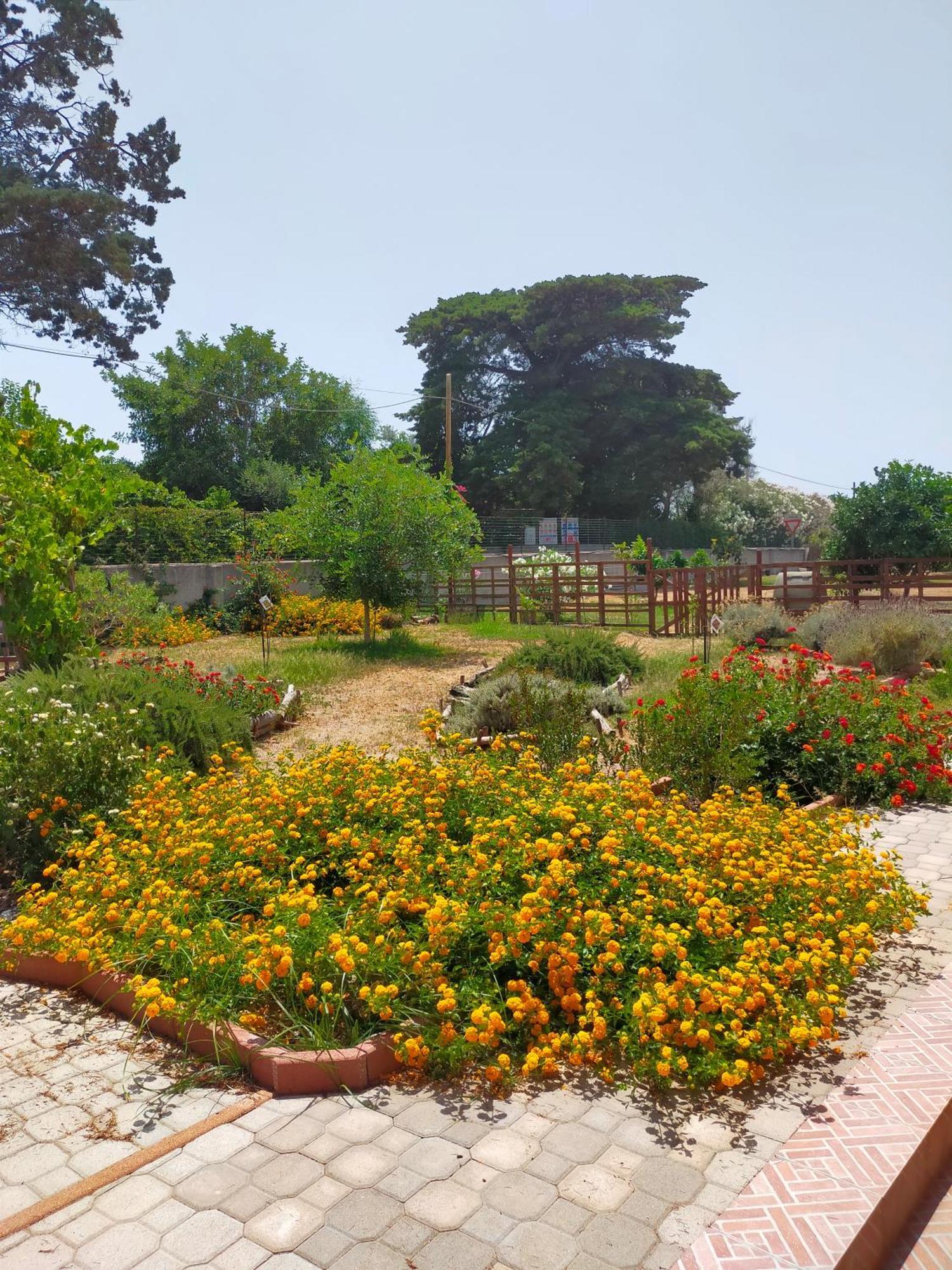Casa Marina Lu Tuvaraggiu Casa Vacanze 索尔索 外观 照片