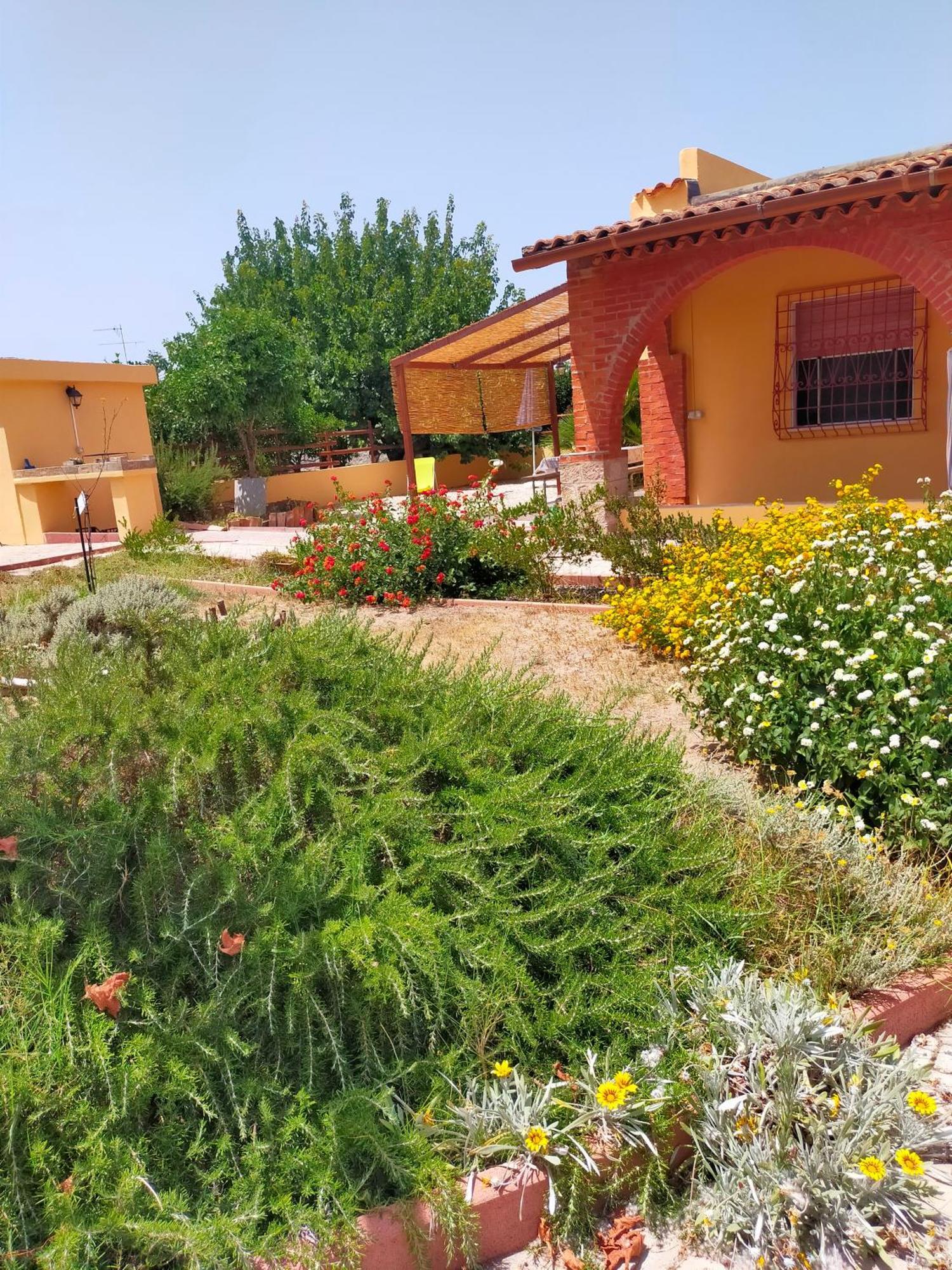 Casa Marina Lu Tuvaraggiu Casa Vacanze 索尔索 外观 照片